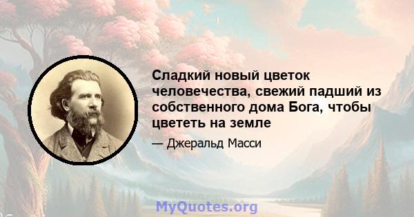 Сладкий новый цветок человечества, свежий падший из собственного дома Бога, чтобы цвететь на земле