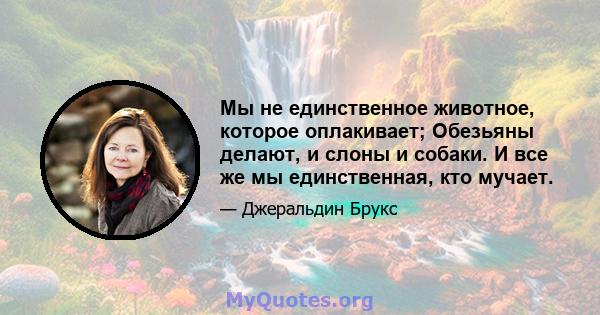 Мы не единственное животное, которое оплакивает; Обезьяны делают, и слоны и собаки. И все же мы единственная, кто мучает.