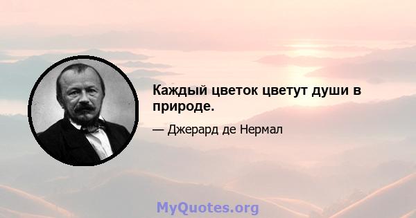 Каждый цветок цветут души в природе.