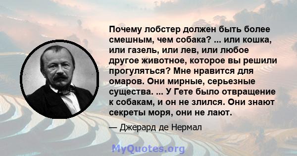 Почему лобстер должен быть более смешным, чем собака? ... или кошка, или газель, или лев, или любое другое животное, которое вы решили прогуляться? Мне нравится для омаров. Они мирные, серьезные существа. ... У Гете