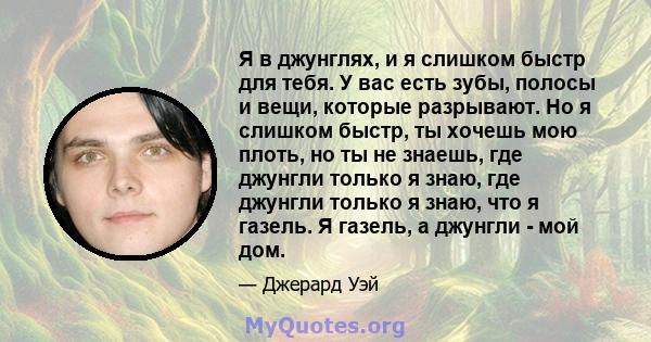 Я в джунглях, и я слишком быстр для тебя. У вас есть зубы, полосы и вещи, которые разрывают. Но я слишком быстр, ты хочешь мою плоть, но ты не знаешь, где джунгли только я знаю, где джунгли только я знаю, что я газель.