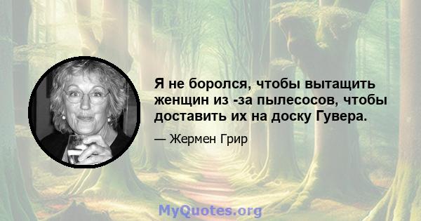 Я не боролся, чтобы вытащить женщин из -за пылесосов, чтобы доставить их на доску Гувера.