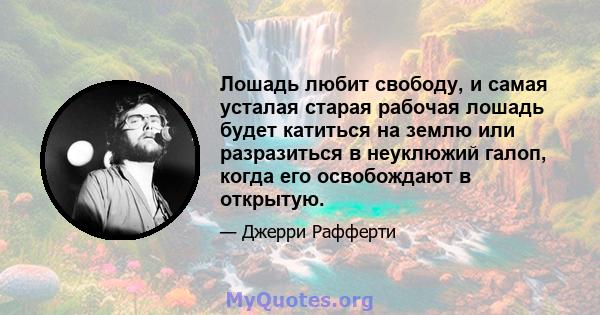 Лошадь любит свободу, и самая усталая старая рабочая лошадь будет катиться на землю или разразиться в неуклюжий галоп, когда его освобождают в открытую.