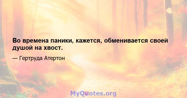 Во времена паники, кажется, обменивается своей душой на хвост.