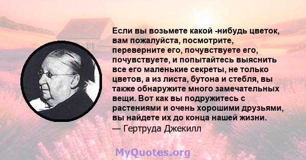 Если вы возьмете какой -нибудь цветок, вам пожалуйста, посмотрите, переверните его, почувствуете его, почувствуете, и попытайтесь выяснить все его маленькие секреты, не только цветов, а из листа, бутона и стебля, вы