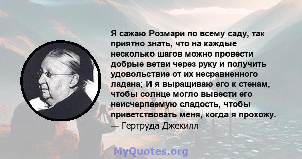 Я сажаю Розмари по всему саду, так приятно знать, что на каждые несколько шагов можно провести добрые ветви через руку и получить удовольствие от их несравненного ладана; И я выращиваю его к стенам, чтобы солнце могло