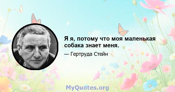 Я я, потому что моя маленькая собака знает меня.