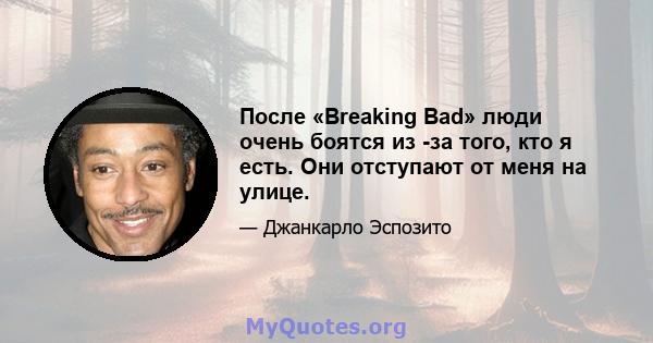 После «Breaking Bad» люди очень боятся из -за того, кто я есть. Они отступают от меня на улице.