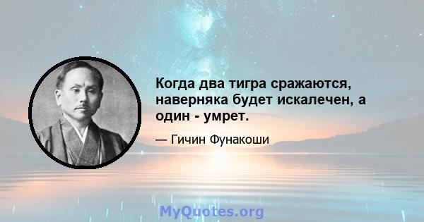 Когда два тигра сражаются, наверняка будет искалечен, а один - умрет.