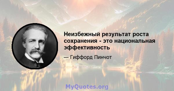 Неизбежный результат роста сохранения - это национальная эффективность