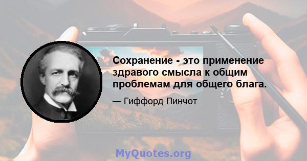 Сохранение - это применение здравого смысла к общим проблемам для общего блага.