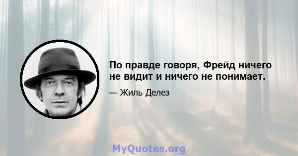 По правде говоря, Фрейд ничего не видит и ничего не понимает.