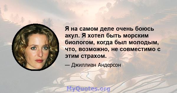 Я на самом деле очень боюсь акул. Я хотел быть морским биологом, когда был молодым, что, возможно, не совместимо с этим страхом.