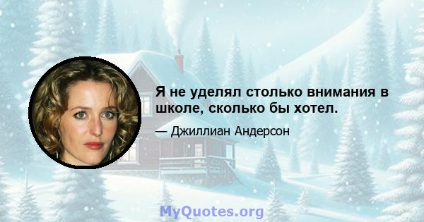 Я не уделял столько внимания в школе, сколько бы хотел.