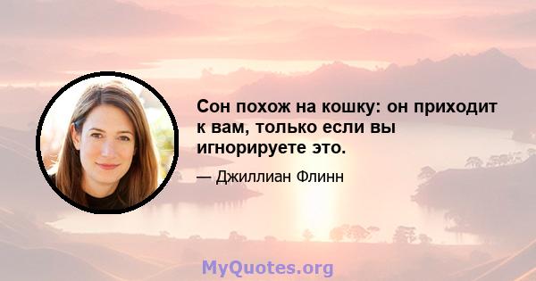 Сон похож на кошку: он приходит к вам, только если вы игнорируете это.