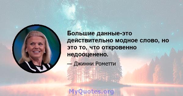 Большие данные-это действительно модное слово, но это то, что откровенно недооценено.