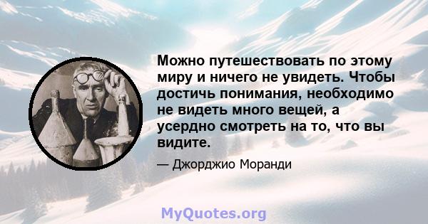 Можно путешествовать по этому миру и ничего не увидеть. Чтобы достичь понимания, необходимо не видеть много вещей, а усердно смотреть на то, что вы видите.