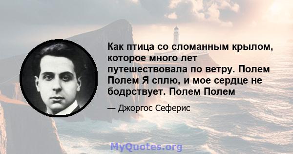 Как птица со сломанным крылом, которое много лет путешествовала по ветру. Полем Полем Я сплю, и мое сердце не бодрствует. Полем Полем