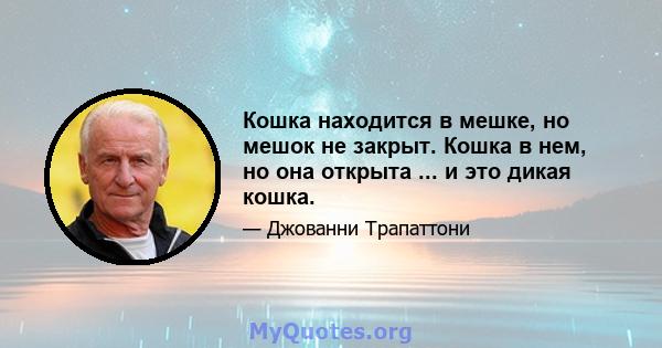 Кошка находится в мешке, но мешок не закрыт. Кошка в нем, но она открыта ... и это дикая кошка.