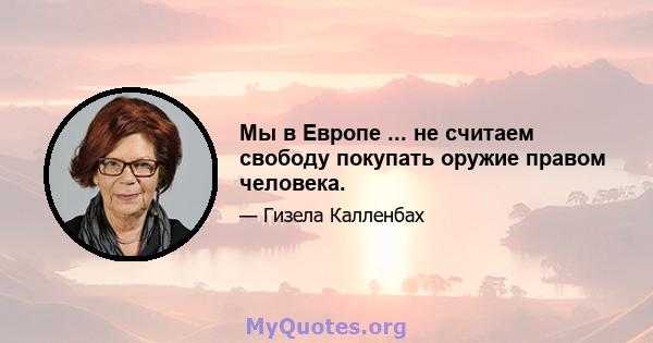 Мы в Европе ... не считаем свободу покупать оружие правом человека.