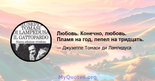 Любовь. Конечно, любовь. Пламя на год, пепел на тридцать.