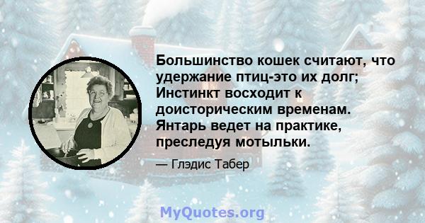 Большинство кошек считают, что удержание птиц-это их долг; Инстинкт восходит к доисторическим временам. Янтарь ведет на практике, преследуя мотыльки.