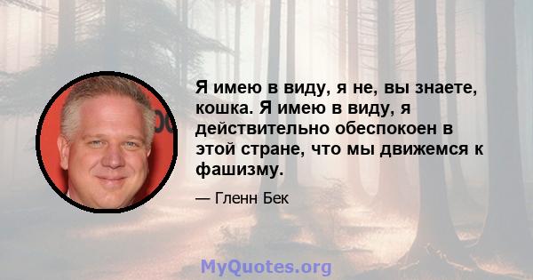 Я имею в виду, я не, вы знаете, кошка. Я имею в виду, я действительно обеспокоен в этой стране, что мы движемся к фашизму.