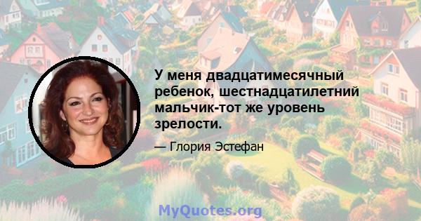 У меня двадцатимесячный ребенок, шестнадцатилетний мальчик-тот же уровень зрелости.