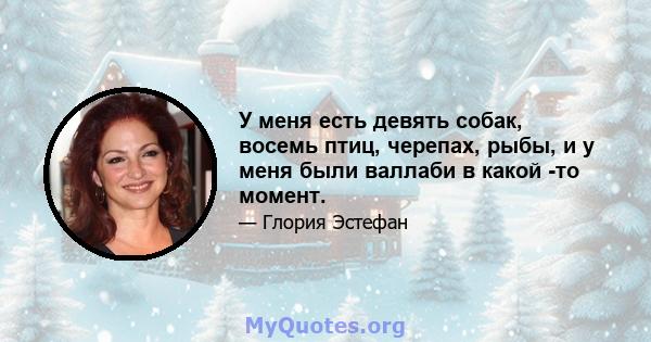 У меня есть девять собак, восемь птиц, черепах, рыбы, и у меня были валлаби в какой -то момент.