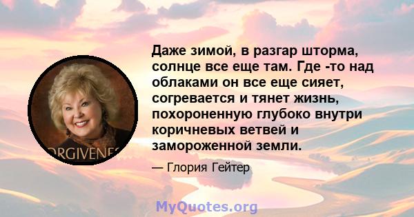 Даже зимой, в разгар шторма, солнце все еще там. Где -то над облаками он все еще сияет, согревается и тянет жизнь, похороненную глубоко внутри коричневых ветвей и замороженной земли.