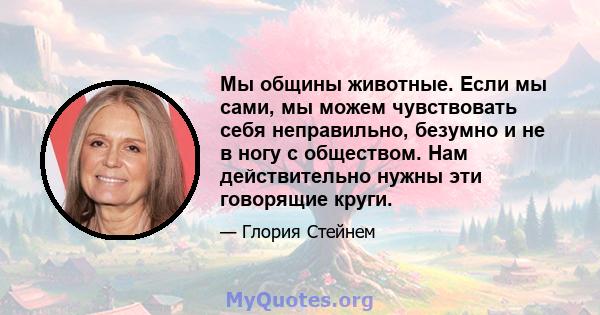 Мы общины животные. Если мы сами, мы можем чувствовать себя неправильно, безумно и не в ногу с обществом. Нам действительно нужны эти говорящие круги.