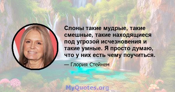 Слоны такие мудрые, такие смешные, такие находящиеся под угрозой исчезновения и такие умные. Я просто думаю, что у них есть чему поучиться.