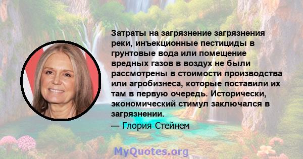 Затраты на загрязнение загрязнения реки, инъекционные пестициды в грунтовые вода или помещение вредных газов в воздух не были рассмотрены в стоимости производства или агробизнеса, которые поставили их там в первую