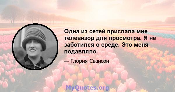 Одна из сетей прислала мне телевизор для просмотра. Я не заботился о среде. Это меня подавляло.