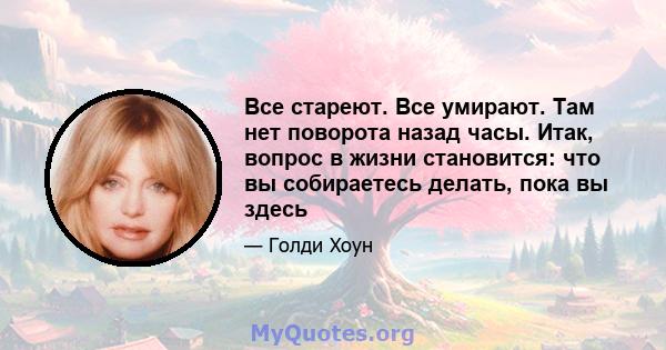 Все стареют. Все умирают. Там нет поворота назад часы. Итак, вопрос в жизни становится: что вы собираетесь делать, пока вы здесь