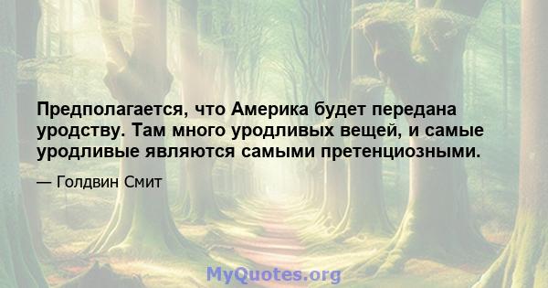 Предполагается, что Америка будет передана уродству. Там много уродливых вещей, и самые уродливые являются самыми претенциозными.