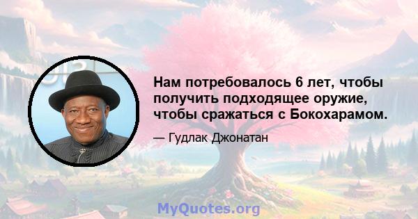 Нам потребовалось 6 лет, чтобы получить подходящее оружие, чтобы сражаться с Бокохарамом.