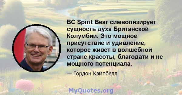 BC Spirit Bear символизирует сущность духа Британской Колумбии. Это мощное присутствие и удивление, которое живет в волшебной стране красоты, благодати и не мощного потенциала.