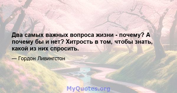 Два самых важных вопроса жизни - почему? А почему бы и нет? Хитрость в том, чтобы знать, какой из них спросить.