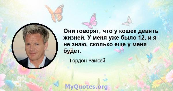 Они говорят, что у кошек девять жизней. У меня уже было 12, и я не знаю, сколько еще у меня будет.