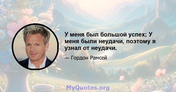 У меня был большой успех; У меня были неудачи, поэтому я узнал от неудачи.