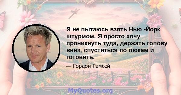 Я не пытаюсь взять Нью -Йорк штурмом. Я просто хочу проникнуть туда, держать голову вниз, спуститься по люкам и готовить.