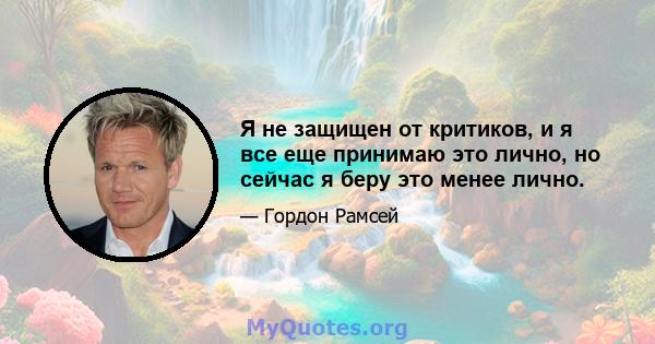 Я не защищен от критиков, и я все еще принимаю это лично, но сейчас я беру это менее лично.