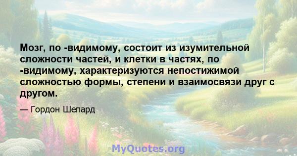 Мозг, по -видимому, состоит из изумительной сложности частей, и клетки в частях, по -видимому, характеризуются непостижимой сложностью формы, степени и взаимосвязи друг с другом.