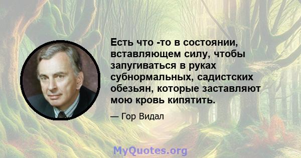 Есть что -то в состоянии, вставляющем силу, чтобы запугиваться в руках субнормальных, садистских обезьян, которые заставляют мою кровь кипятить.