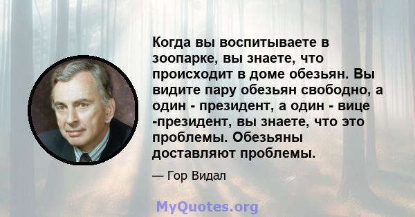 Когда вы воспитываете в зоопарке, вы знаете, что происходит в доме обезьян. Вы видите пару обезьян свободно, а один - президент, а один - вице -президент, вы знаете, что это проблемы. Обезьяны доставляют проблемы.