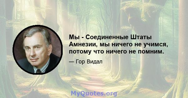 Мы - Соединенные Штаты Амнезии, мы ничего не учимся, потому что ничего не помним.