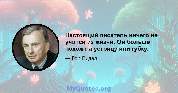 Настоящий писатель ничего не учится из жизни. Он больше похож на устрицу или губку.