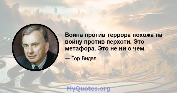 Война против террора похожа на войну против перхоти. Это метафора. Это не ни о чем.