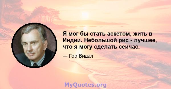 Я мог бы стать аскетом, жить в Индии. Небольшой рис - лучшее, что я могу сделать сейчас.